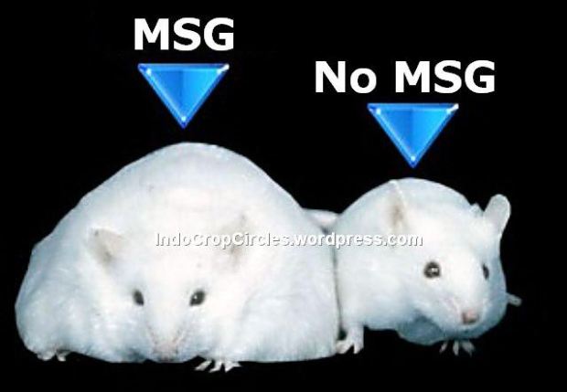 msg-monosodium-glutamate-side-effects